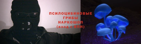 PSILOCYBIN Арсеньев