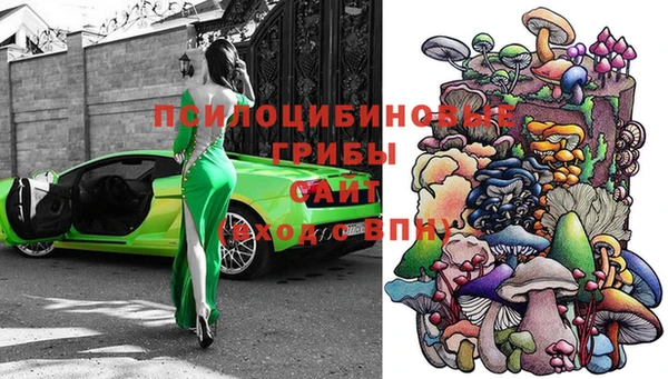 PSILOCYBIN Арсеньев