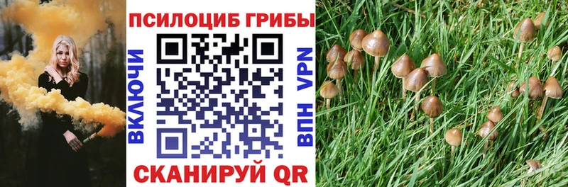 что такое   Аксай  ОМГ ОМГ ССЫЛКА  Псилоцибиновые грибы Cubensis 